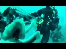 วินาทีโหด!ปลาหมึกยักษ์ จู่โจมนักดำน้ำ