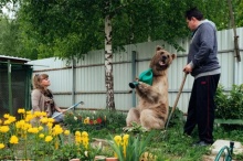 คลิปอมยิ้ม!คู่รักรัสเซียเลี้ยงหมีกินอยู่เยี่ยงมนุษย์