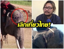 สื่อนอกตีข่าวไทยทารุณช้างหัวเหวอะ คว่ำบาตรเลิกเที่ยว – สัตวแพทย์ชี้ใช้ขอปรามตัวดื้อ (คลิป)