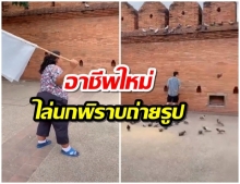 อาชีพใหม่! สาวใช้ธงสะบัดไล่ฝูงนกพิราบ ให้นักท่องเที่ยวจีนถ่ายรูปลานประตูท่าเเพ (คลิป)