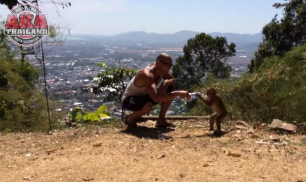 เมื่อฝรั่งอยากเล่นกับลิงไทย ก็เป็นแบบนี่แหละ