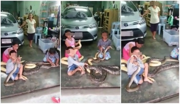 ช็อก! เด็กเล็กๆ 3 คนนั่งเล่นกับงูเหลือม