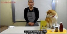 น่ารักเมื่อพ่อครัวญี่ปุ่นมีผู้ช่วยเป็นน้องหมา มาดูกันว่าผลงานจะเป็นอย่างไร