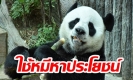สื่อนอกแฉไทย หากินกับ “ช่วงช่วง” ฟัน 300 ล้าน ชาวจีนขอหมีคืน ห้ามส่งมาไทย (คลิป)