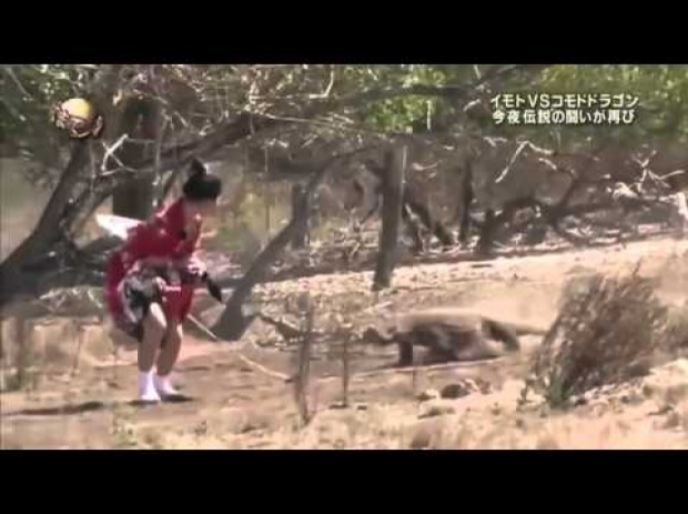 เผ่นป่าราบ เกมญี่ปุ่นโคตรโหด! ให้สาวญี่ปุ่นวิ่งหนีมังกรโคโมโด