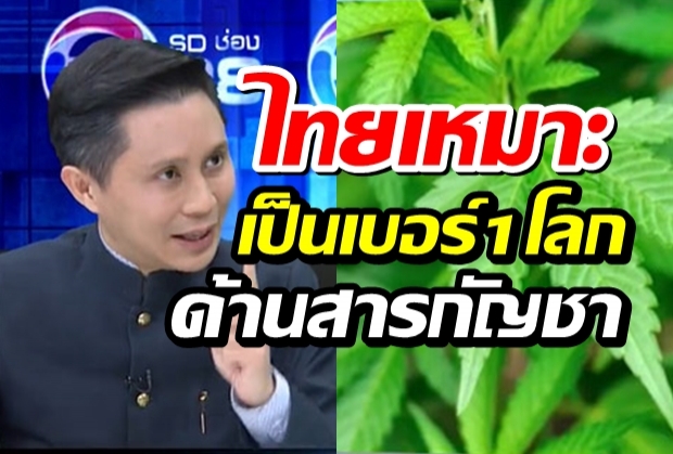 ไขข้อข้องใจ!กัญชารักษาโรคได้จริงหรือไม่?(คลิป)