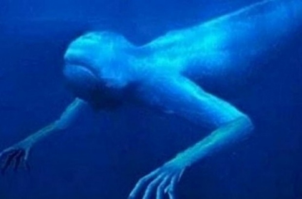 สุดลึกลับ!! สัตว์แปลกใต้ทะเล ดูแล้วคิดว่ามีจริงมั้ย!??