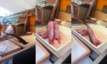 ปลาญี่ปุ่นสดของแท้ ถูกแล่ ตัดหัว ยังดิ้นพล่าน!! (คลิป)