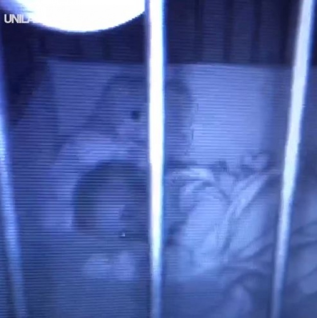 หลอนจนขนหัวลุก!! ตั้งกล้องถ่ายลูกน้อยตอนนอน จู่ๆตุ๊กตาหมีขยับหัวเองได้ (คลิป)