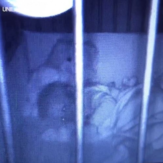 หลอนจนขนหัวลุก!! ตั้งกล้องถ่ายลูกน้อยตอนนอน จู่ๆตุ๊กตาหมีขยับหัวเองได้ (คลิป)