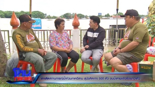 วอนช่วย หมาติดเกาะ 500 ตัว จมน้ำตายนับร้อย ได้ยินเสียงร้อง แต่ช่วยไม่ได้ !