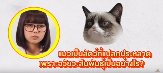 “พลอย ศรนรินทร์” เป๊ะเวอร์ โชว์ทดลองเพศศึกษาของสัตว์โลก