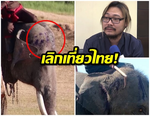 สื่อนอกตีข่าวไทยทารุณช้างหัวเหวอะ คว่ำบาตรเลิกเที่ยว – สัตวแพทย์ชี้ใช้ขอปรามตัวดื้อ (คลิป)