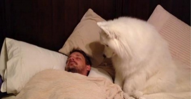 หมาตัวนี้ขึ้นไปบนเตียงเจ้าของสิ่งที่มันทำ “น่ารัก” สุดๆ!!