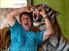 ทำได้ไง หนุ่มบราซิลฝึกเสือโคร่งเชื่องเป็นแมว 