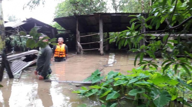 ทหารช่วย ทีมหมูบ้าน 8 ชีวิตหลุดคอก หลังฝนตกหนัก-น้ำท่วมหลายพื้นที่ในนครพนม (มีคลิป)