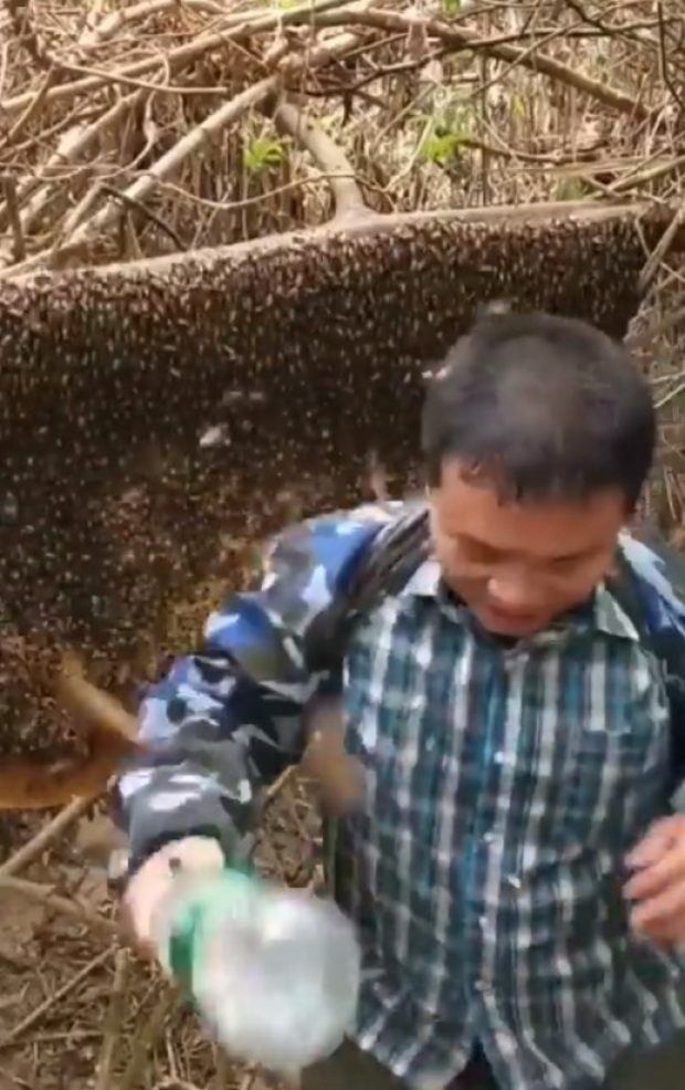 คิดอะไรอยู่? หนุ่มโชว์ฟาดรังผึ้งยักษ์ด้วยขวดเปล่า งานนี้ถึงกับนอนนิ่ง (คลิป)