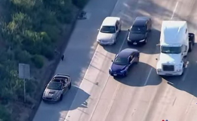 สุุดซึ้ง ชาว LA ขับรถเกาะกลุ่มป้องกันสุนัขหลงทางบนถนน
