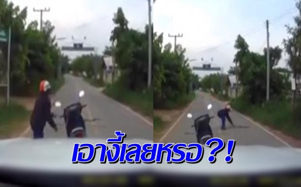 สตรองไปมั้ย?! ลุงเจองูปาดหน้า จอดรถจับฟาดหิ้วกลับบ้านอย่างชิลล์ (คลิป)