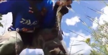 อุทาหรณ์นักตกปลา ระวังโดนงูเหลือมงับมือแบบนี้!!