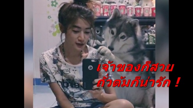 ถั่วต้ม หมาเเสนรู้ สั่งไรทำหมด ! ขอเเค่ได้กินขนมพอ