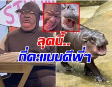  ปิงปอง โคฟเวอร์เป็นเจ้าหมูเด้ง เเฟนๆเห็นเเล้วลั่นคำนี้! 