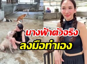 เปิดโมเมนต์ อั้ม พัชราภา อาบน้ำให้น้องหมาจร เลี้ยงไว้ 130 ตัว