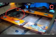 ลูกค้าแตกฮือ! หมูป่าวิ่งหลุดเข้าร้านอาหารในเกาหลี (ชมคลิป)
