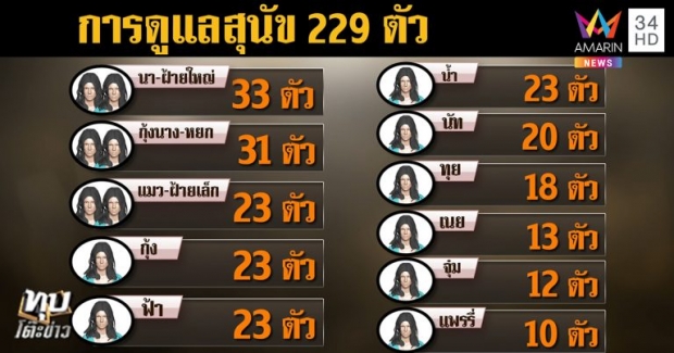  เมียฝรั่ง โต้ข่าวฉีดยาหมาตาย 22 ตัว แค่ให้สลบ ก่อนส่ง รพ. - จ่อฟ้องกลับ ลูกน้องใส่ร้ายจับขังกรง (คลิป)