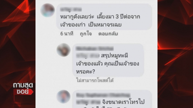 เจ้าของเก่า-บูม เคลียร์ใครเลี้ยง น้องหมูทะ รับตกใจทัวร์ลง (คลิป) 