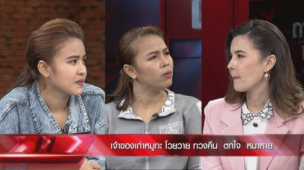 เจ้าของเก่า-บูม เคลียร์ใครเลี้ยง น้องหมูทะ รับตกใจทัวร์ลง (คลิป) 