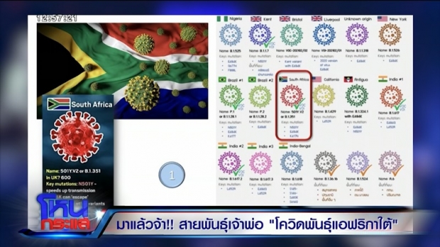 เปิดใจ ผู้ค้นพบสายพันธุ์แอฟริกาใต้ในเมืองไทย คุมระบาดได้ไหมมีคำตอบ?