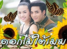 ดอกไม้ใต้เมฆ ตอนที่ 11