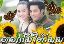 ดอกไม้ใต้เมฆ ตอนที่ 2