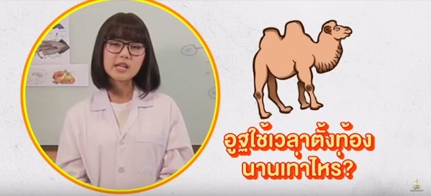 “พลอย ศรนรินทร์” เป๊ะเวอร์ โชว์ทดลองเพศศึกษาของสัตว์โลก